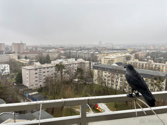 3 izbový byt Národná trieda, Košice - Sever, balkón, loggia - 2