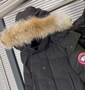 Canada Goose - 2