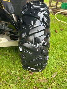 Maxxis bighorn - 2