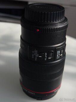 Canon EF 100mm f/2.8 Macro USM IS - 2