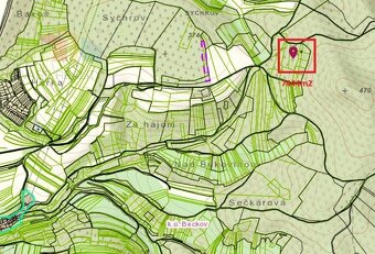 Pozemok - trvalý trávnatý porast a lesný pozemok, Beckov - 2
