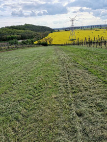 Pozemok na stavbu chaty v Podlužanoch, pivnica,veľký trávnik - 2