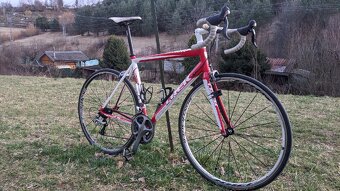 Trek Alpha 2.5 Ultegra - 2