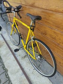 Cestný bicykel Dema Vitaro 2000 - 2