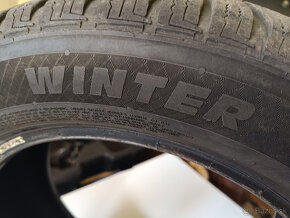 PAXARO WINTER  205/55 R16 T - 1KS - 2