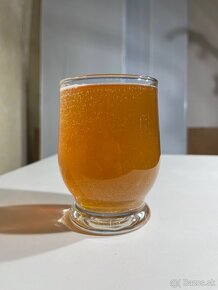 Kombucha nápoj - 2