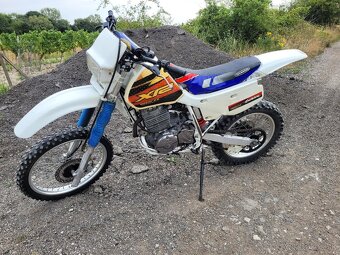 Honda XR 600 R - 2