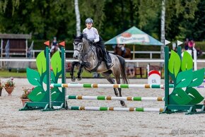 SPORTOVNÍ ŠIMLÍK - vhodný i pro přechod z pony sportu - 2