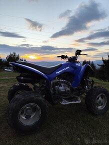 Yamaha Raptor 350 - 2