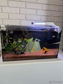 40L komplet zariadené akvarium - 2