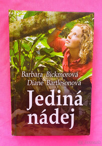 Jediná nádej - 2