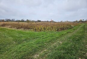 PREDAJ - Pozemok v Stupave o výmere 445 m2, schválený v Územ - 2