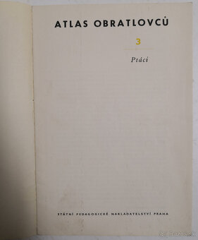 Atlas obratlovců 3-Ptáci - 2