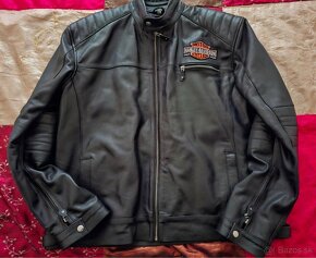 Harley Davidson bunda - 2