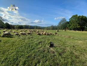 Na predaj farmárska usadlosť v obci Ábelová, časť Madačka, 3 - 2