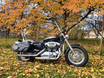 Harley davidson sporster XL 1200C - 2