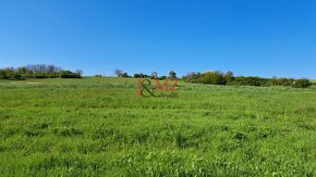 Pozemok 7.000 m2, šírka 55 m, Žemberovce, Cena DOHODOU (SM–7 - 2