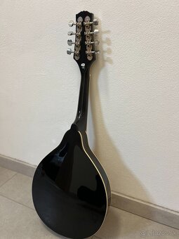 Mandolína - 2