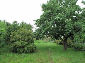 NA PREDAJ:Pozemok so starším domom v Dolných Lovčiciach. - 2