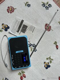 Blaupunkt radio - 2