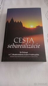 Cesta sebarealizácie, Ztracená kniha Enkiho - 2