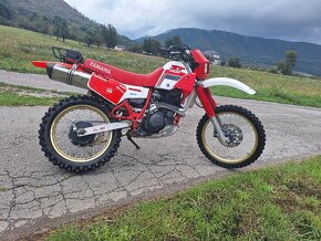 Yamaha XT 600 43F - 2