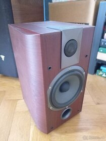 Focal chorus 705 - 2