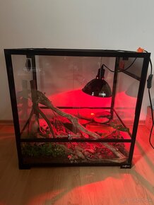 Terarium reptiplanet 60x60x45 - 2