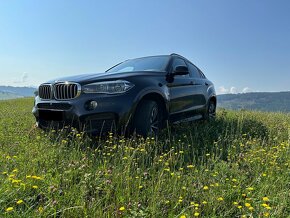 BMW X6 xDrive 40d, F16 3.0 Diesel, 230 kW - 2