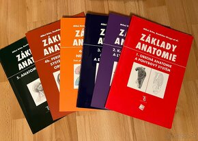 Základy anatomie - 2