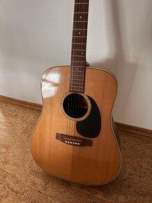 Takamine - 2