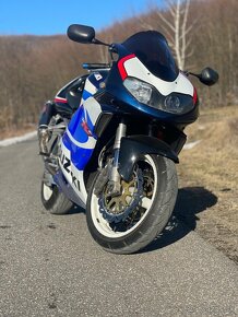 Suzuki TL 1000 R - 2