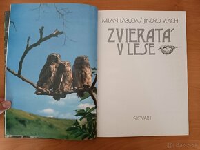 Zvieratá v lese (1990) - 2