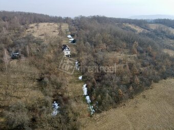 Dobrú noc nám dajú líšky dom na samote v lučenecký… - 2