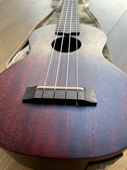 Koncertne ukulele - 2