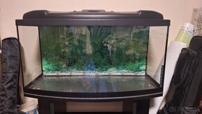 Predám akvarium 60l. - 2