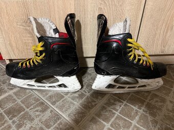 Bauer Vapor X600 - 2