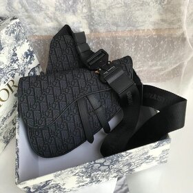 Dior Saddle Bag - 2