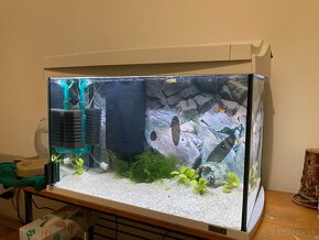 Tetra AquaArt LED akváriový set 60 l - 2