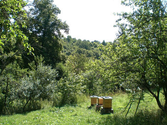 STAVEBNÝ POZEMOK PRI POTOKU 1963 m2 BRESTOVEC okres MYJAVA - 2