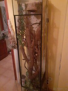 Predam terarium vhodne pre chameleona - 2