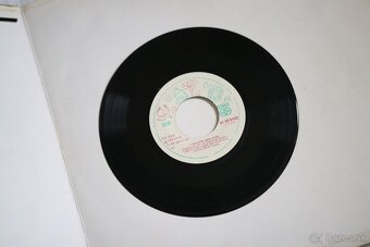 PREDÁM RÔZNE ZBERATELSKÉ LP PLATNE - 2