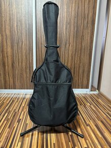 Gitara značky C-Giant - 2