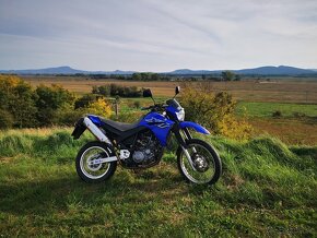 Yamaha XT 660 R 2004 - 2