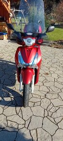 HONDA SH 125 - 2