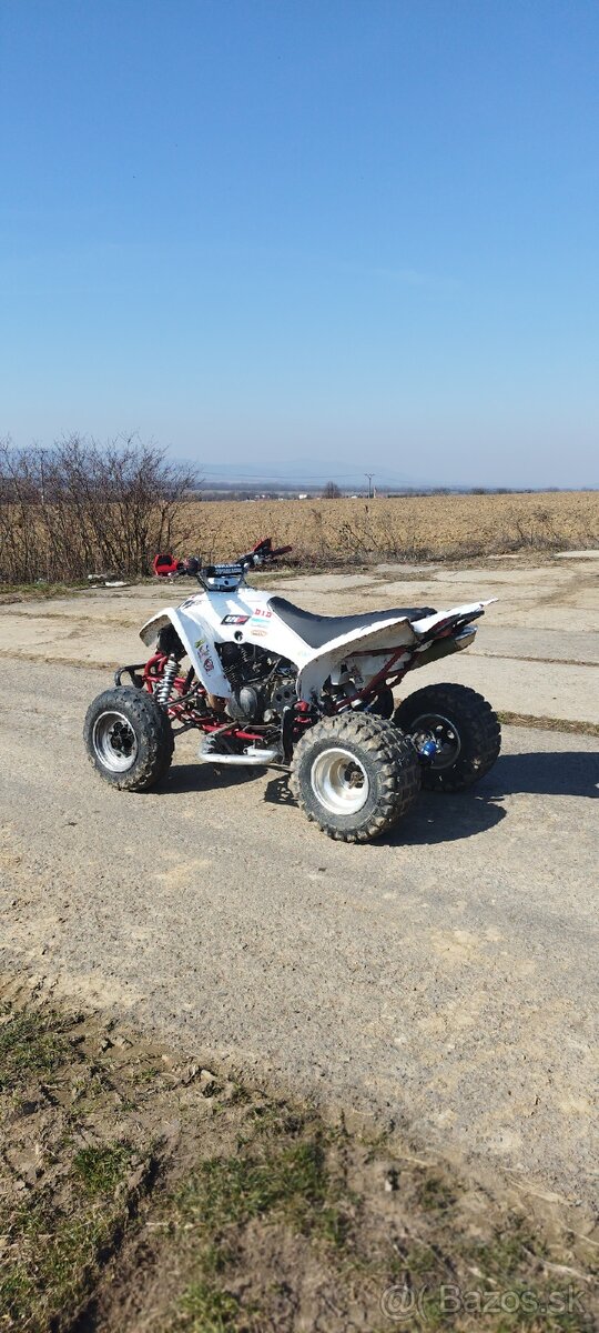 Yamaha Raptor 350 2007