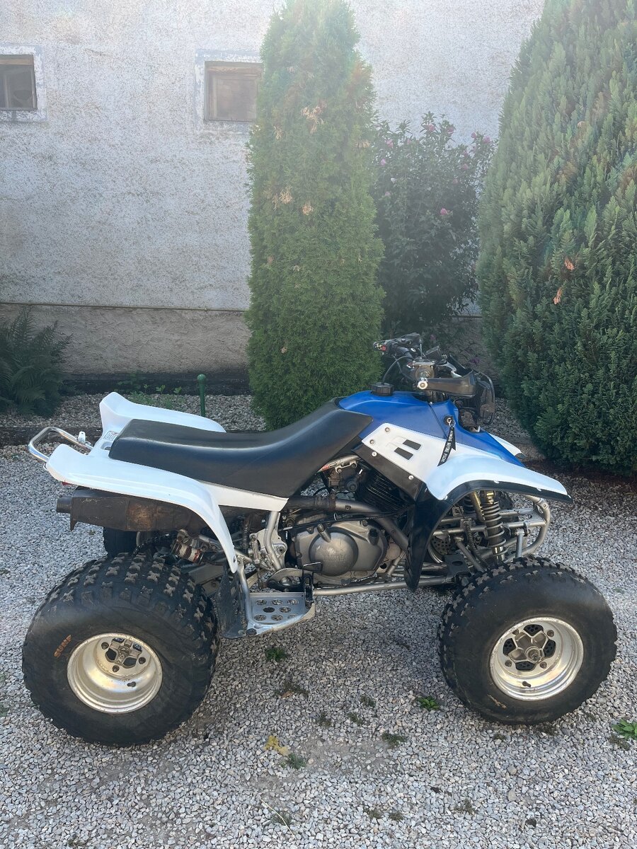 Yamaha warrior 350