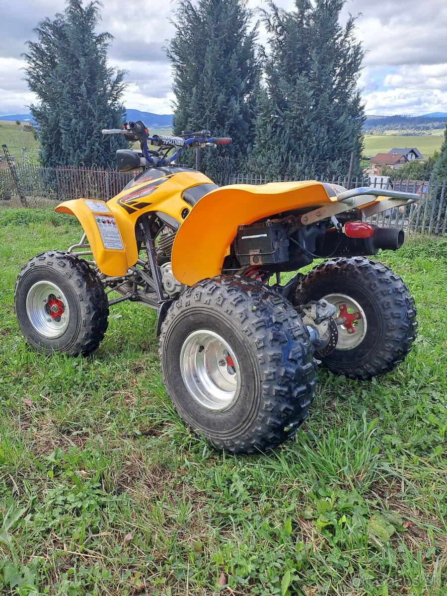 Honda TRX 300 Ex