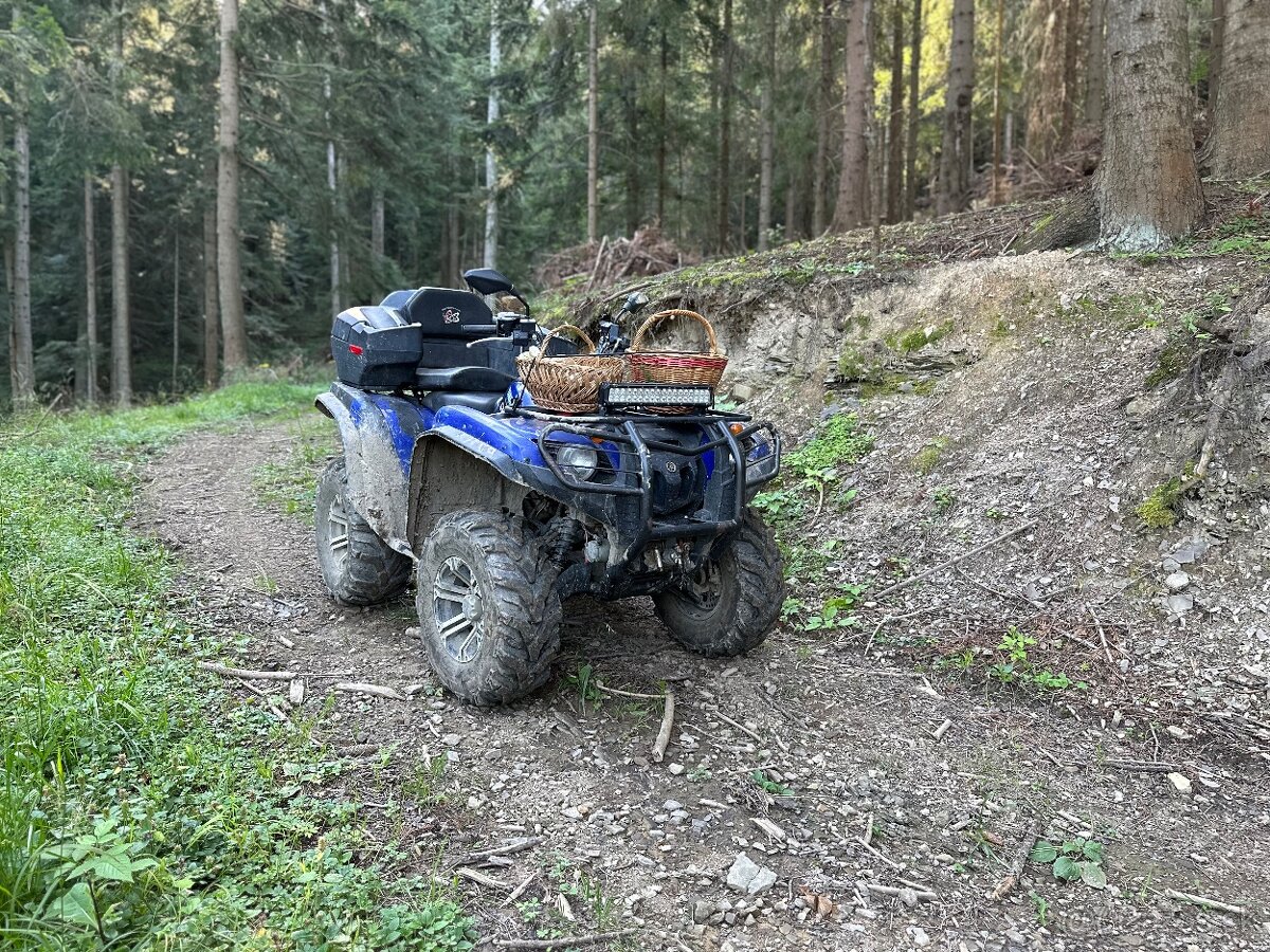 Yamaha grizzly 700