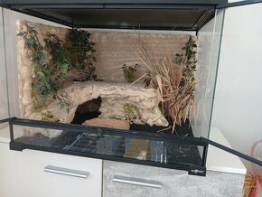 Terarium - 3